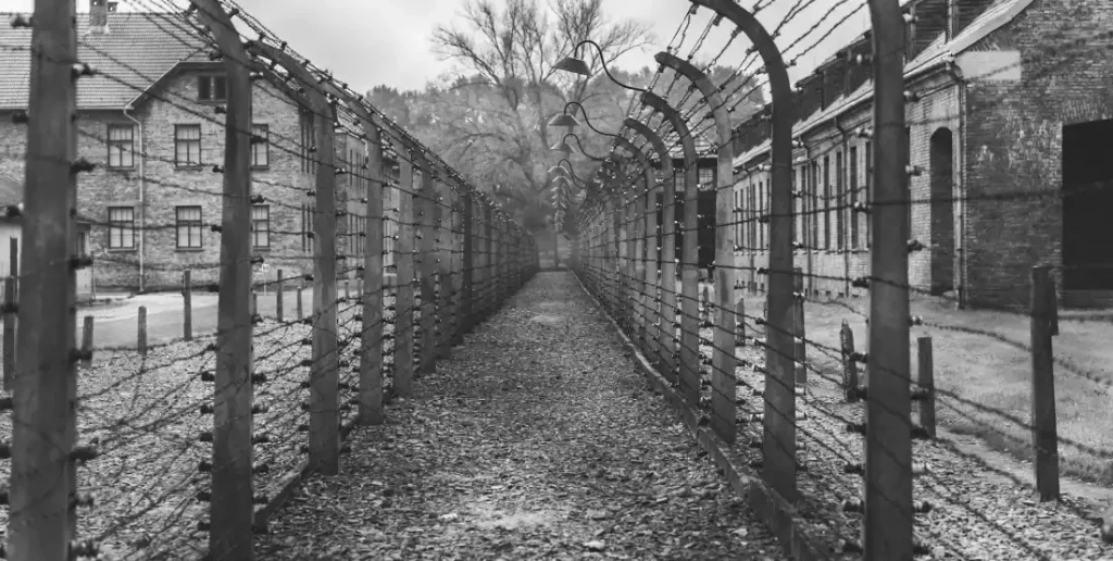 Auschwitz fences